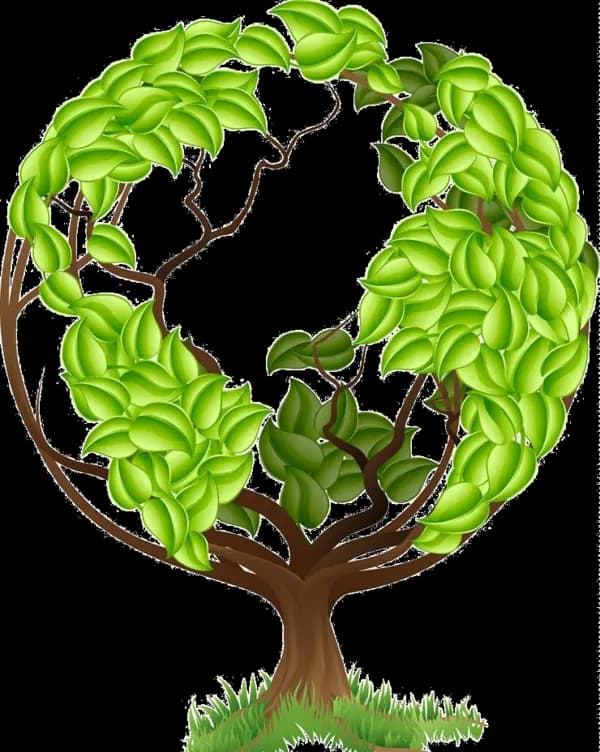 ShopShipy Sustainable Impact Plan
